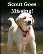 Scout Goes Missing! 