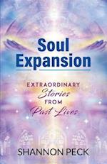 Soul Expansion: Extraordinary Stories from Past Lives 