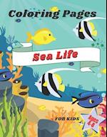 Sea Life Coloring Pages for Kids Ages 4-8: Featuring handmade illustrations of underwater world: Fish, Dolphins, Sharks, Turtles, Whales and other Mar