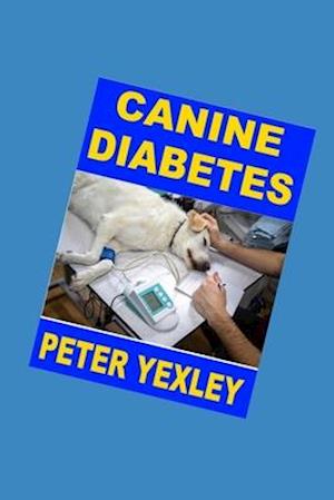 Canine Diabetes: Caring for a Diabetic Dog