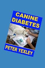 Canine Diabetes: Caring for a Diabetic Dog 