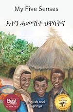 My Five Senses: The Sight, Sound, Smell, Taste and Touch of Ethiopia in Tigrinya and English 