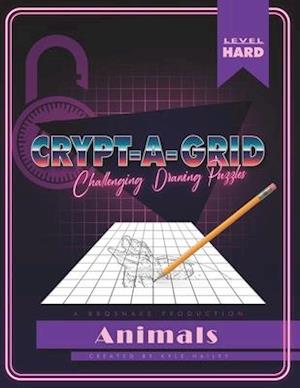 Crypt-a-grid: Challenging drawing puzzels