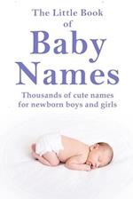 The Little Book of Baby Names: Thousands of cute names for newborn boys and girls 