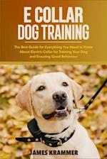 E Collar Dog Training