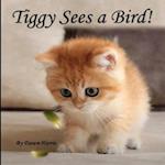 Tiggy Sees a Bird!