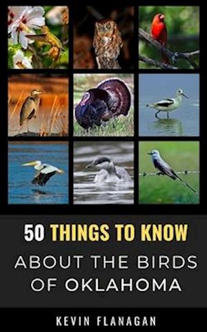 50 Things to Know About Birds in Oklahoma : Birding in the Oklahoma