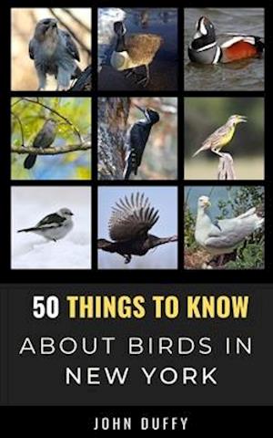 50 Things to Know About Birds in New York : Encountering Beautiful Species Around the Empire State