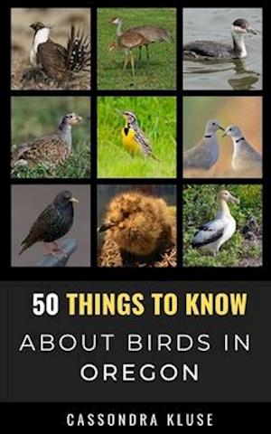 50 Things to Know About Birds in Oregon : Fun Facts About Birds of the Beaver State