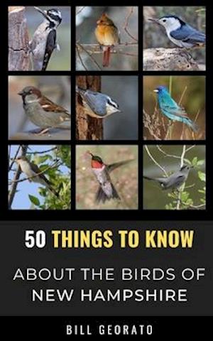 50 Things to Know About Birds In New Hampshire