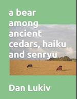 A bear among ancient cedars, haiku and senryu