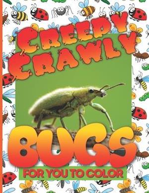 Creepy Crawly Bugs For You To Color