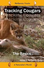 Tracking Cougars