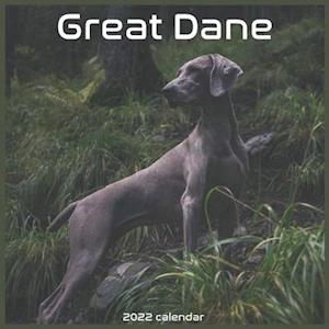 Great Dane Calendar 2022 : Official Great Dane Dog breed Calendar 2022 16 MONTHS