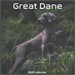 Great Dane Calendar 2022 : Official Great Dane Dog breed Calendar 2022 16 MONTHS 