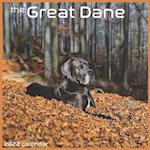 The Great Dane 2022 Calendar: Official Great Dane Dog breed Calendar 2022 