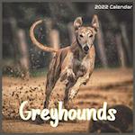 Greyhounds Calendar 2022: Official Greyhounds Dog breed Calendar 2022 16 Months 