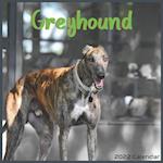 Greyhound calendar 2022: Official Greyhound Dog breed calendar 2022 16 Months 
