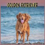 Golden Retriever Calendar 2022: Official Golden Retriever Dog Calendar 2022 16 Months 