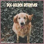 Golden Retriever Dog Calendar 2022: Official Golden Retriever Dog breed Calendar 2022 16 Months 