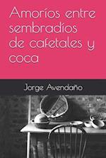 Amoríos entre sembradíos de cafetales y coca