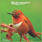 Cute Hummingbird Calendar 2022 : Official Hummingbirds Birds 2022 Calendar, 16 Month 