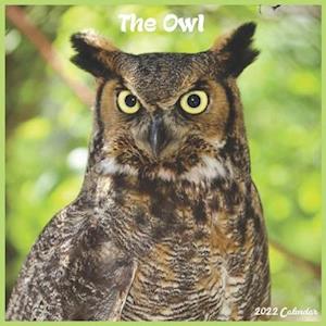 The Owl Calendar 2022 : Official Owls Birds 2022 Calendar, 16 Month