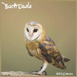 Barn Owls Calendar 2022 : Official Barn Owls Birds 2022 Calendar, 16 Month