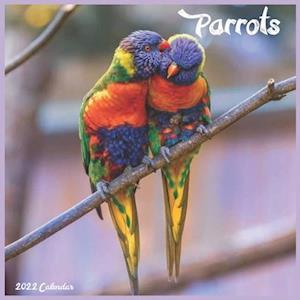 Parrots Calendar 2022 : Official Parrot Birds 2022 Calendar, 16 Month