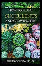 How to Plant Succulents and Growing Tips