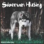 Siberian Husky Calendar 2022: Official Siberian Husky Dog breed Calendar 2022 16 Months 