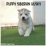 Siberian Husky Puppy 2022 Calendar: Official Siberian Husky Dog breed Calendar 2022 16 Months 