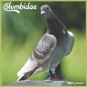 Columbidae 2022 Calendar: Official Pigeon Birds Calendar 2022, 16 Month Square Calendar