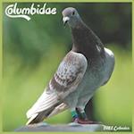 Columbidae 2022 Calendar: Official Pigeon Birds Calendar 2022, 16 Month Square Calendar 