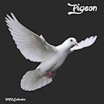 Pigeon 2022 Calendar: Official Columbidae Birds Calendar 2022 