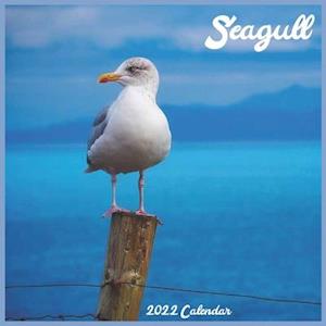 Seagull 2022 Calendar: Official Seabirds Calendar 2022, 16 Month Square Calendar