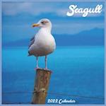 Seagull 2022 Calendar: Official Seabirds Calendar 2022, 16 Month Square Calendar 