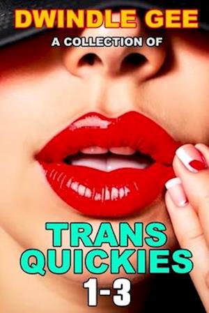 A COLLECTION OF TRANS QUICKIES 1-3: The Virgin Crossdresser at the Crossroads Motel / Transsexual on a Train / Crossdresser Caught by Roommate