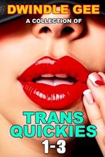 A COLLECTION OF TRANS QUICKIES 1-3: The Virgin Crossdresser at the Crossroads Motel / Transsexual on a Train / Crossdresser Caught by Roommate 