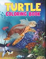 Turtle Coloring Book