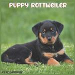 Rottweiler Puppy 2022 Calendar: Official Rottweiler Dog breed Calendar 2022, 16 Months 