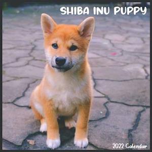 Shiba Inu Puppy 2022 Calendar: Official Shiba Inu Dog breed Calendar 2022, 16 Months