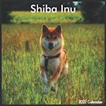 Shiba Inu 2022 Calendar: Official Shiba Inu Dog breed Calendar 2022, 16 Months 