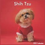 Shih Tzu Calendar 2022: Official Shih Tzu Dog breed Calendar 2022 16 Months 