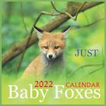 Just Baby Foxes CALENDAR 2022