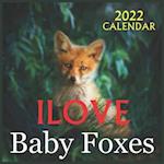 ILOVE Baby Foxes CALENDAR 2022