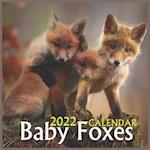 Baby Foxes CALENDAR 2022