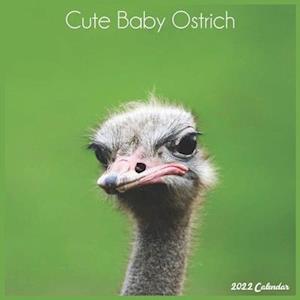 Cute Baby Ostrich 2022 Calendar : Official Ostrich Birds Calendar 2022, 16 Month Square Calendar