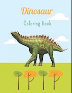 Dinosaur Coloring Book : For Kids Ages 4-12 . Dinosaur Coloring Book for Boys, Girls, Toddlers, Preschoolers. Realistic Dinosaur Designs ... T-Rex, Tr