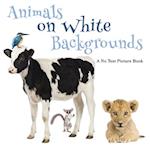 Animals on White Backgrounds, A No Text Picture Book